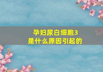 孕妇尿白细胞3 是什么原因引起的